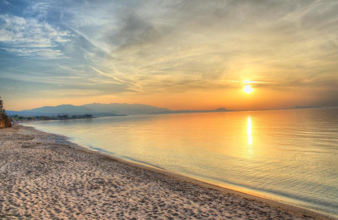 Alkionis Beach Hotel Apartments Σφάκα Εξωτερικό φωτογραφία
